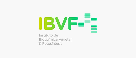 IBVF logo